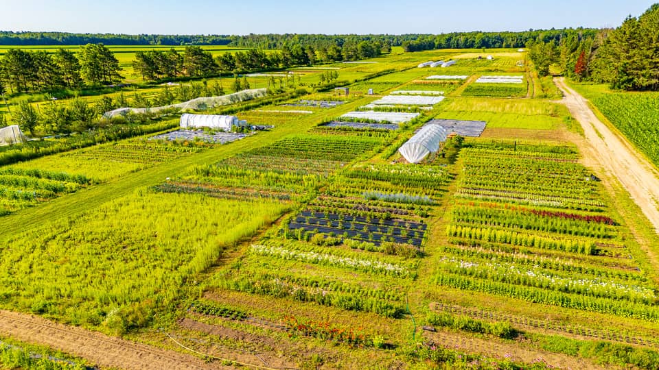 vue aerienne de la ferme Vue aerienne de la ferme